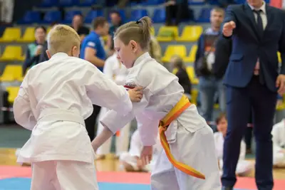 10th Baltic OPEN J.K.A. championship — 242