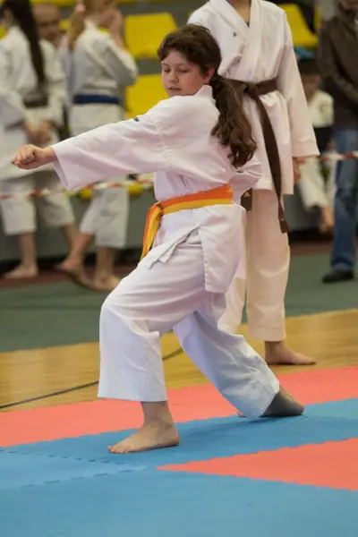 10th Baltic OPEN J.K.A. championship — 285