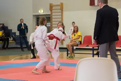 10th Baltic OPEN J.K.A. championship — 97