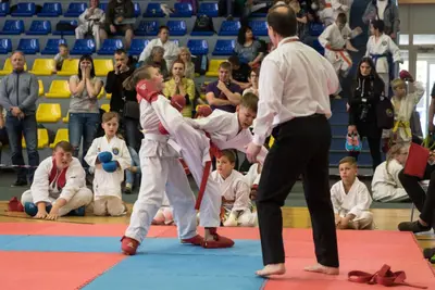 10th Baltic OPEN J.K.A. championship — 410