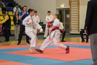 10th Baltic OPEN J.K.A. championship — 423