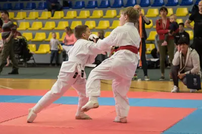 10th Baltic OPEN J.K.A. championship — 432