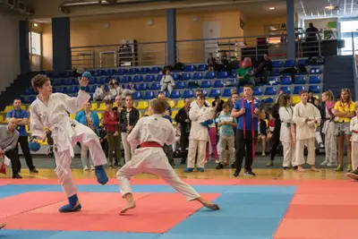 10th Baltic OPEN J.K.A. championship — 454