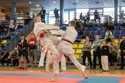 10th Baltic OPEN J.K.A. championship — 477
