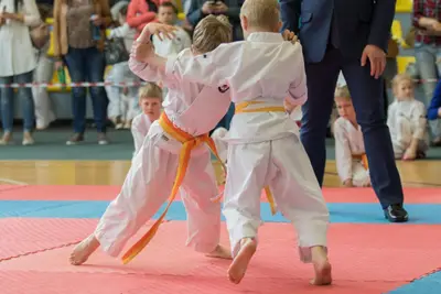 10th Baltic OPEN J.K.A. championship — 368