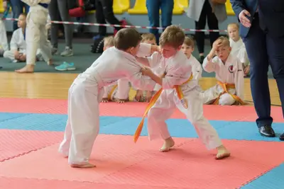 10th Baltic OPEN J.K.A. championship — 372