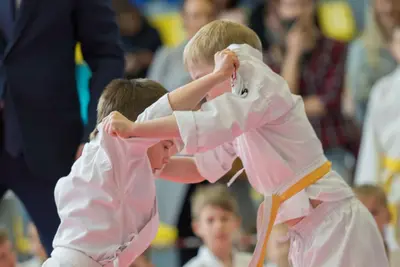 10th Baltic OPEN J.K.A. championship — 375