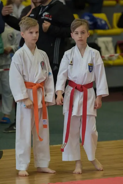 10th Baltic OPEN J.K.A. championship — 381