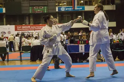 21st SKDUN World Shotokan karate-do championship — 91