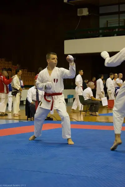 21st SKDUN World Shotokan karate-do championship — 99