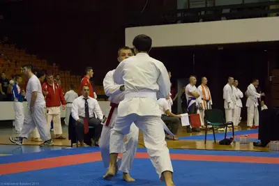 21st SKDUN World Shotokan karate-do championship — 100