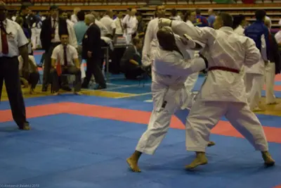 21st SKDUN World Shotokan karate-do championship — 143