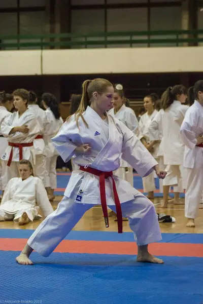 21st SKDUN World Shotokan karate-do championship — 195