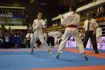 21st SKDUN World Shotokan karate-do championship — 203