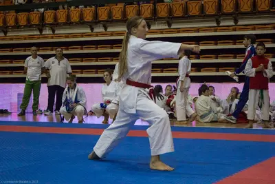 21st SKDUN World Shotokan karate-do championship — 50
