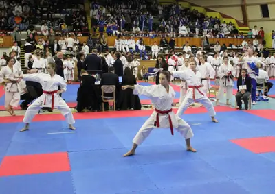3rd SKDUN European Championship 2013 — 49