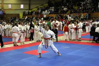 3rd SKDUN European Championship 2013 — 8