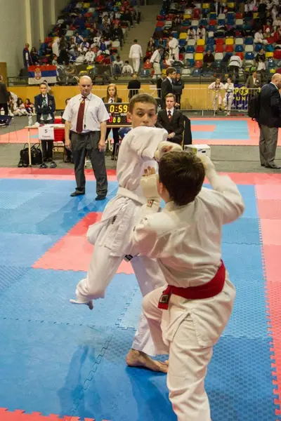 5th SKDUN EUROPEAN SHOTOKAN KARATE-DO CHAMPIONSHIP — 10