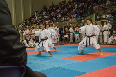 5th SKDUN EUROPEAN SHOTOKAN KARATE-DO CHAMPIONSHIP — 8