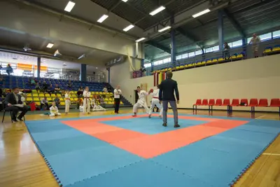 8th Baltic Open J.K.A. Championship — 196