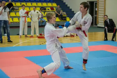 8th Baltic Open J.K.A. Championship — 256