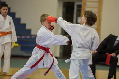8th Baltic Open J.K.A. Championship — 266