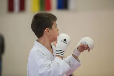 8th Baltic Open J.K.A. Championship — 274