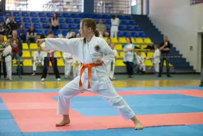 8th Baltic Open J.K.A. Championship — 79