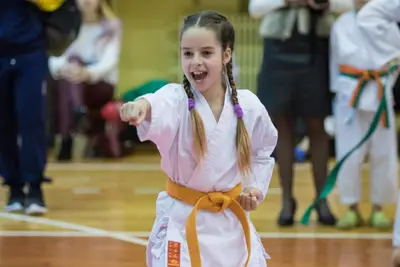 Zemgales novada karatē čempionāts 2017 — 103