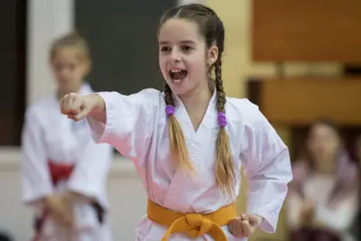 Zemgales novada karatē čempionāts 2017 — 110