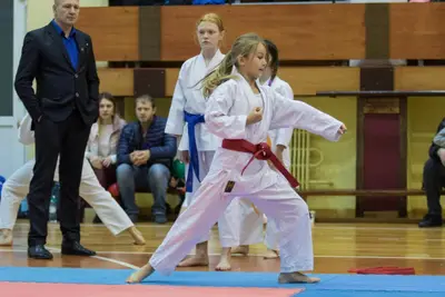 Zemgales novada karatē čempionāts 2017 — 111