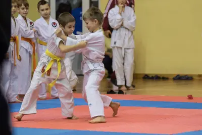 Zemgales novada karatē čempionāts 2017 — 113
