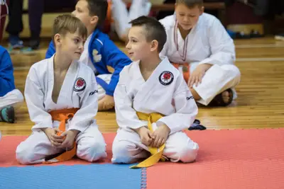 Zemgales novada karatē čempionāts 2017 — 136