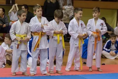Zemgales novada karatē čempionāts 2017 — 146