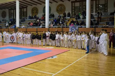 Zemgales novada karatē čempionāts 2017 — 14