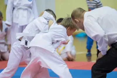 Zemgales novada karatē čempionāts 2017 — 170
