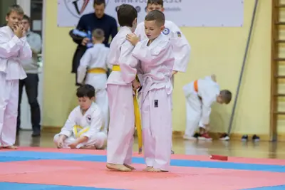 Zemgales novada karatē čempionāts 2017 — 177