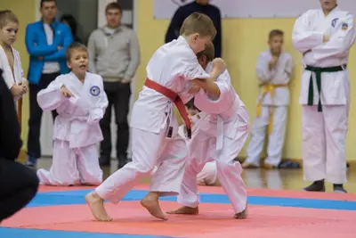 Zemgales novada karatē čempionāts 2017 — 179