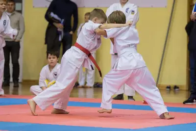 Zemgales novada karatē čempionāts 2017 — 181