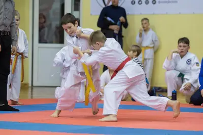 Zemgales novada karatē čempionāts 2017 — 182