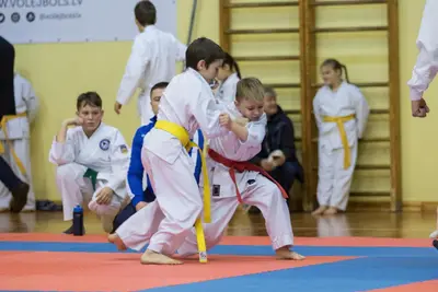 Zemgales novada karatē čempionāts 2017 — 183
