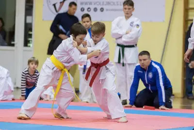 Zemgales novada karatē čempionāts 2017 — 184