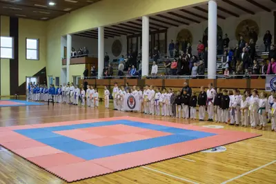 Zemgales novada karatē čempionāts 2017 — 18