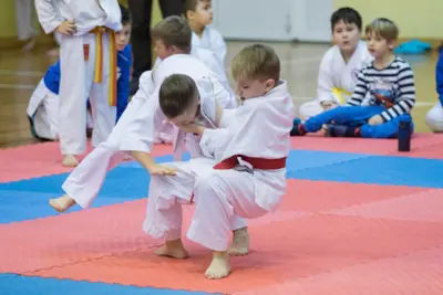Zemgales novada karatē čempionāts 2017 — 191