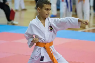 Zemgales novada karatē čempionāts 2017 — 194