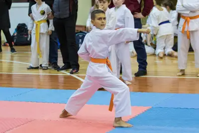Zemgales novada karatē čempionāts 2017 — 195