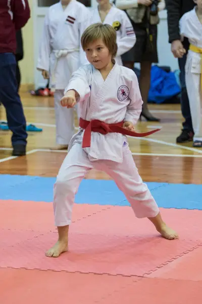 Zemgales novada karatē čempionāts 2017 — 196