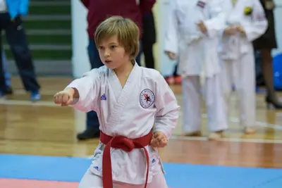 Zemgales novada karatē čempionāts 2017 — 197
