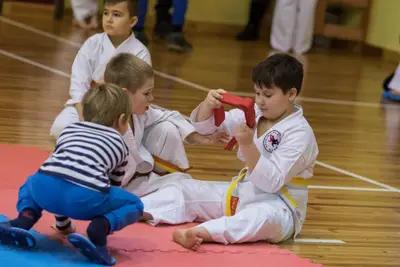Zemgales novada karatē čempionāts 2017 — 203