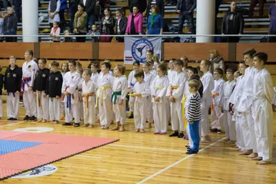 Zemgales novada karatē čempionāts 2017 — 21